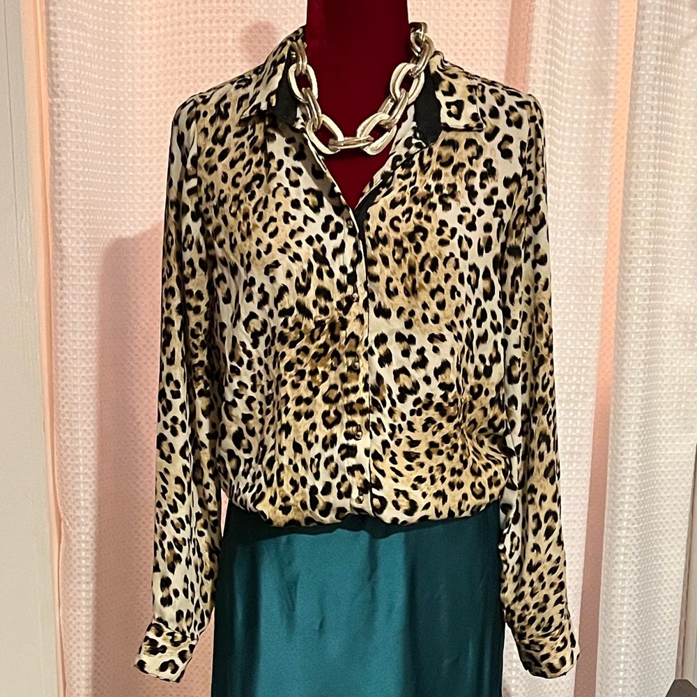 Studio F Women’s Leopard Print Sheer Long Sleeve Button Down Blouse (M)